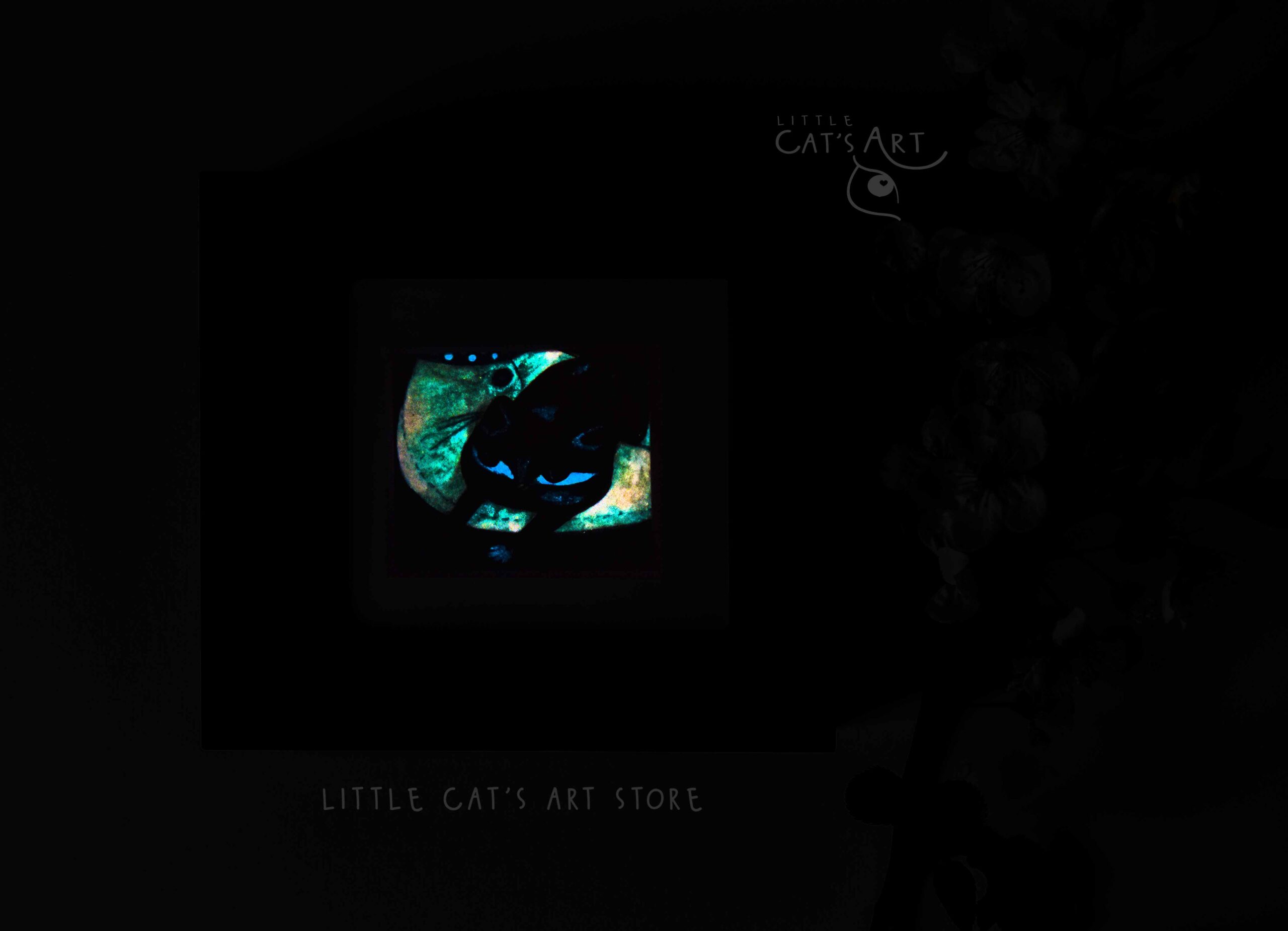 Calico cat Lap Time Nap Time