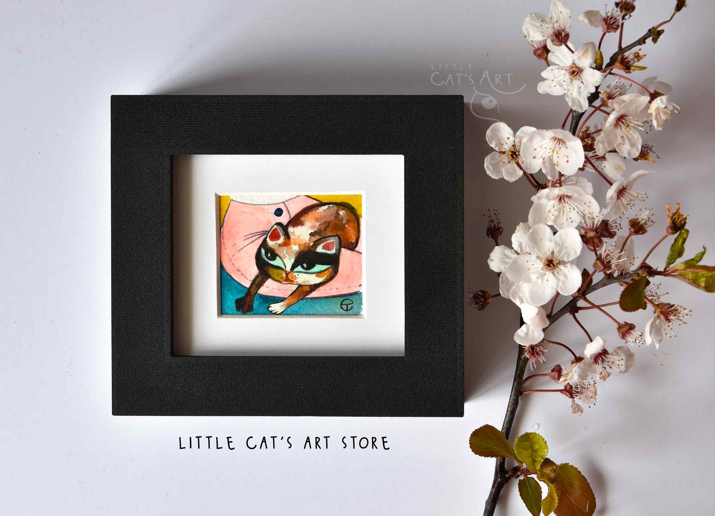 Calico cat Lap Time Nap Time