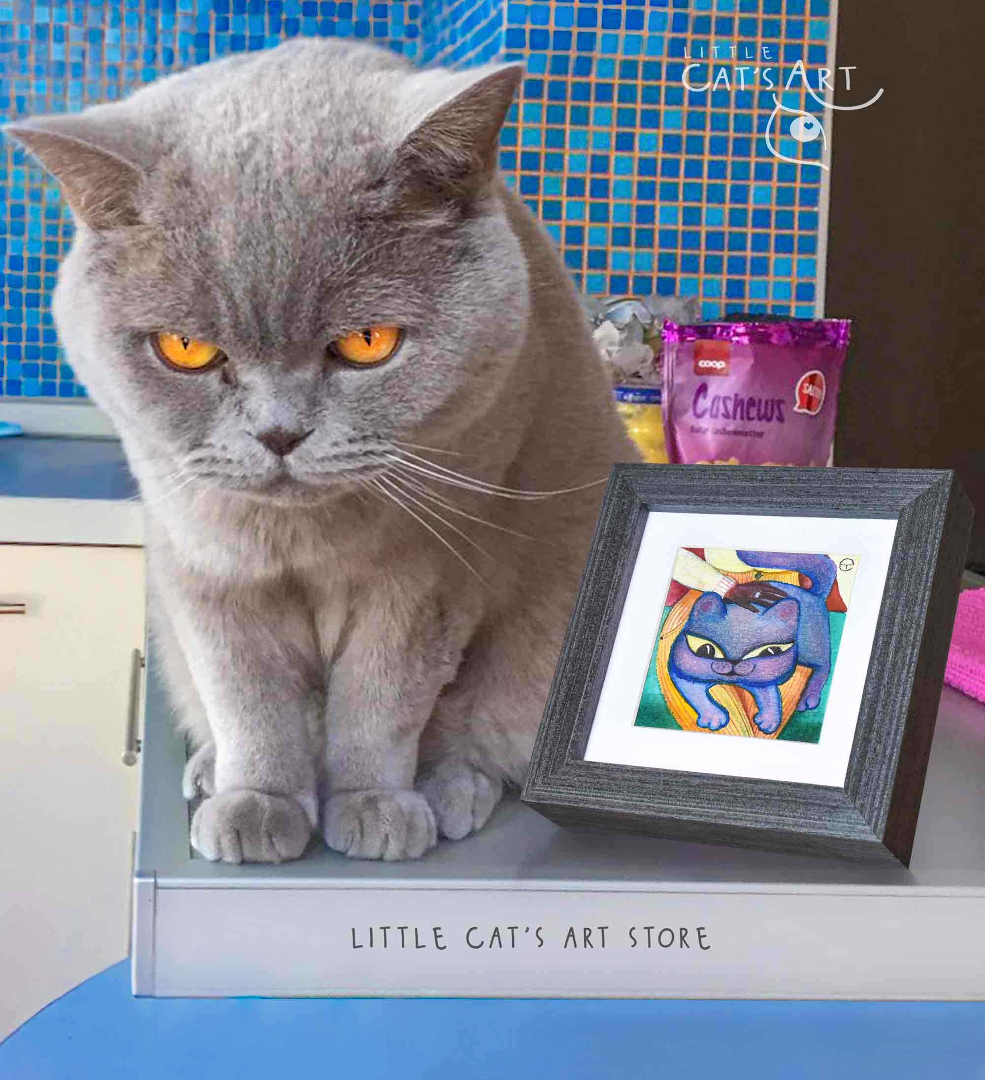 Miniature British Shorthair cat framed portrait