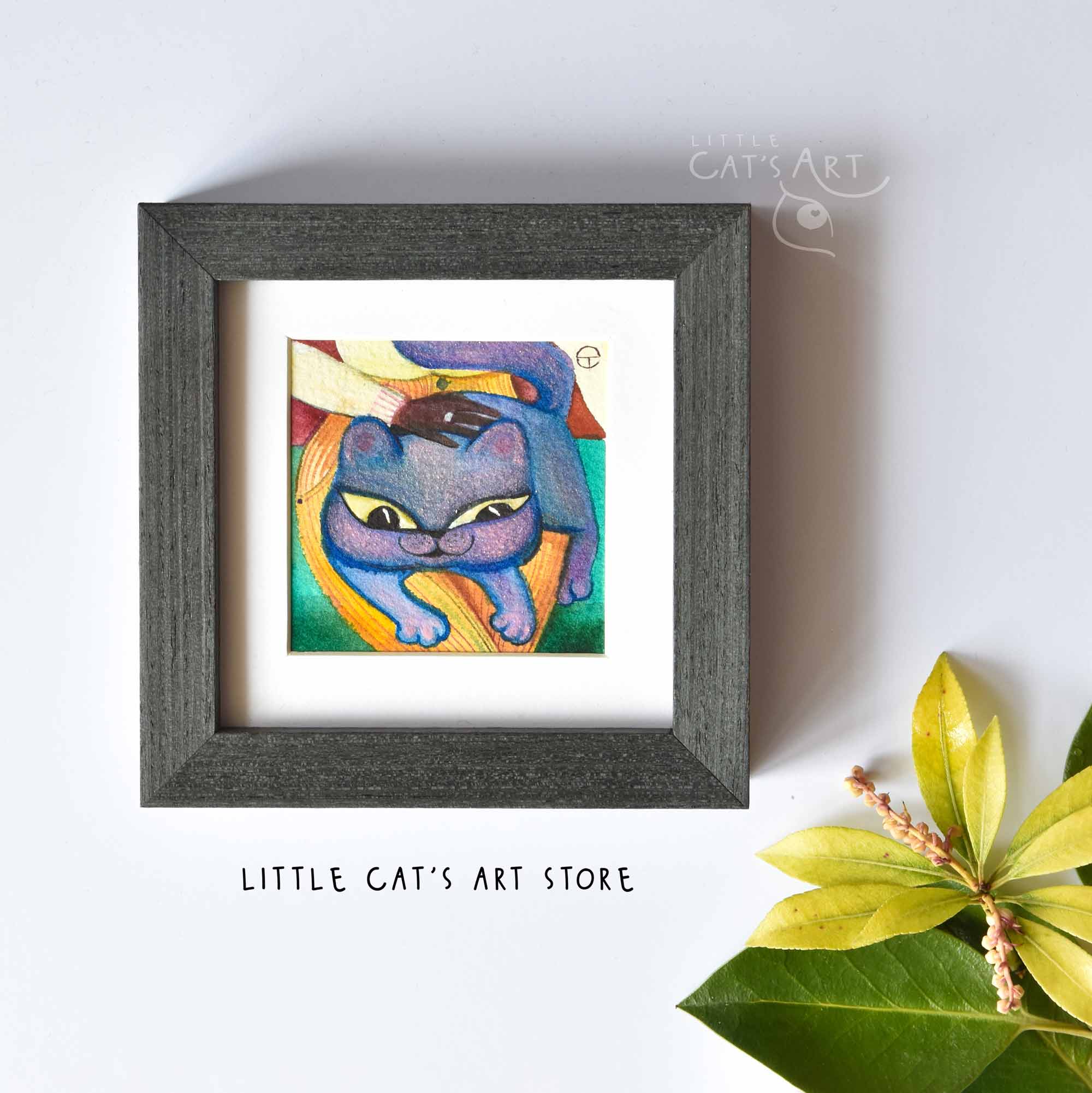 Miniature British Shorthair cat framed portrait