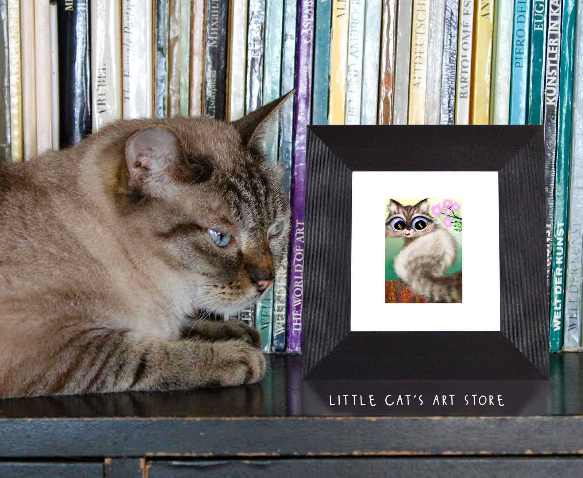 Neva Masquerade cat portrait and real cat