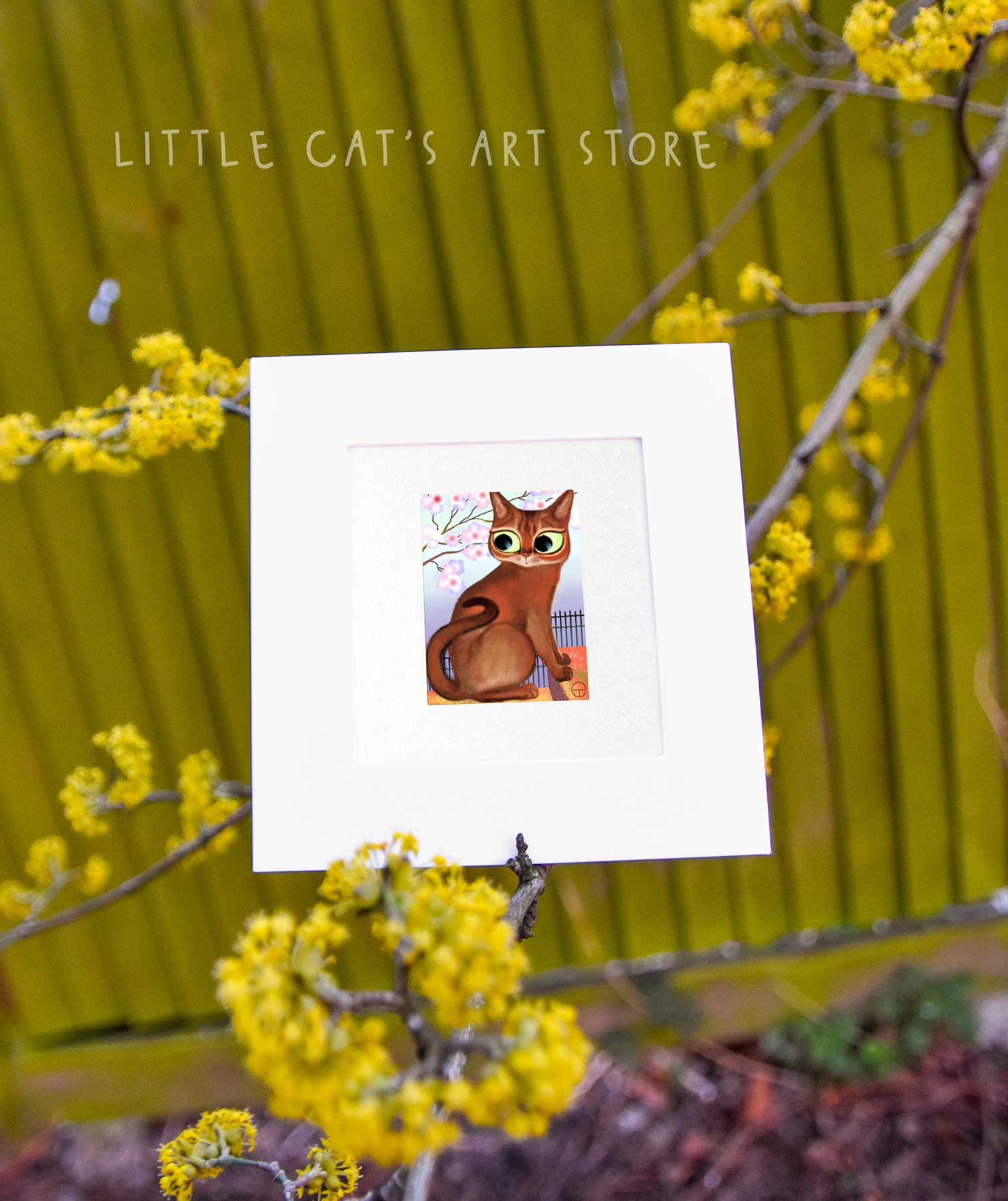 Abyssinian cat digital portrait blossom spring