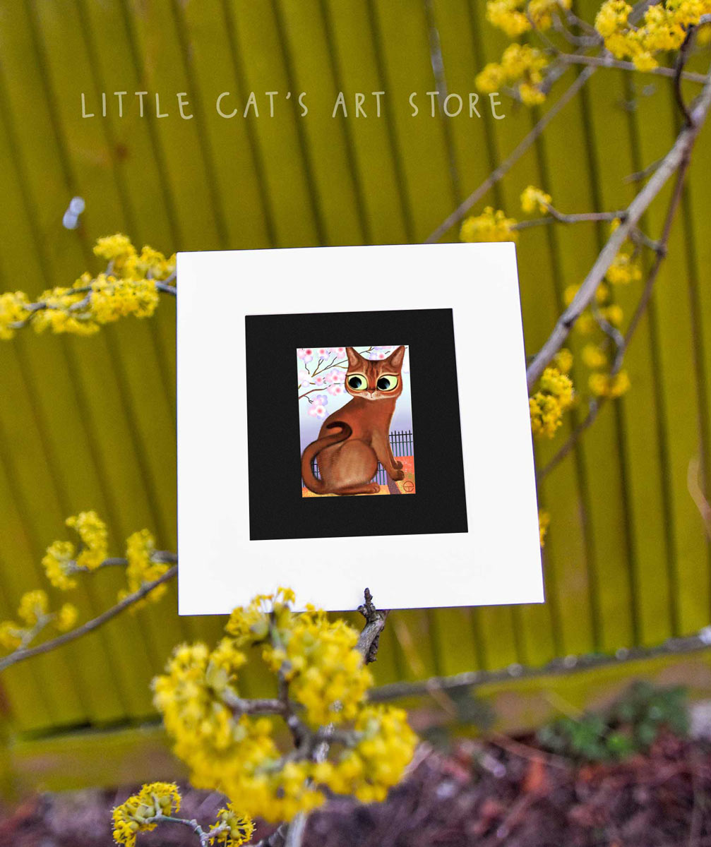 Abyssinian cat portrait print in white frame