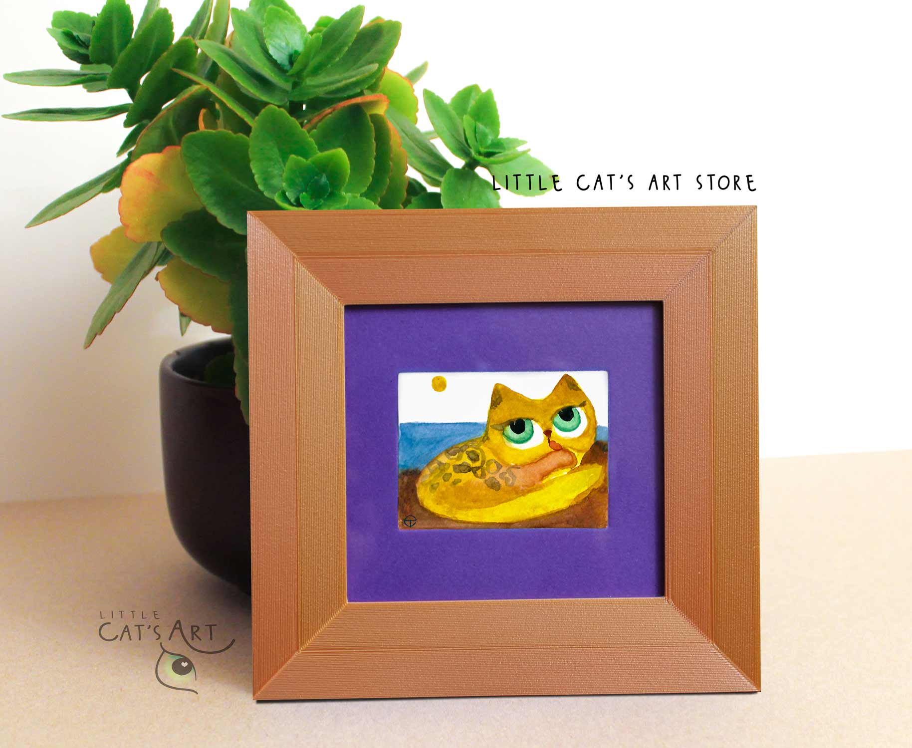 Yellow grooming feline on the beach